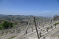 VBS_0987 - Torre dei Contini - Canelli (AT)